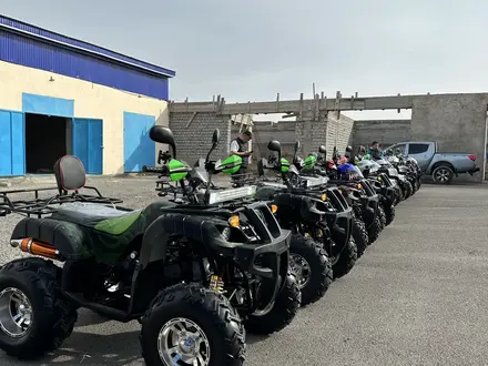 Tao Motor  250 X 2024 года за 450 000 тг. в Шымкент – фото 2
