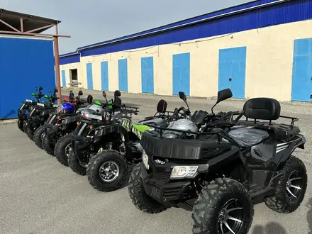 Tao Motor  250 X 2024 года за 450 000 тг. в Шымкент