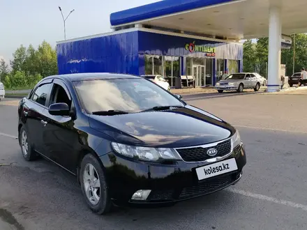 Kia Cerato 2011 года за 4 500 000 тг. в Усть-Каменогорск