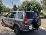 Honda CR-V 2006 года за 4 500 000 тг. в Алматы – фото 4