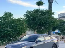 Hyundai Elantra, 2022