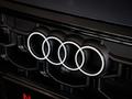 Audi Q8 55 TFSI Quattro 2026 года за 65 060 000 тг. в Алматы – фото 45