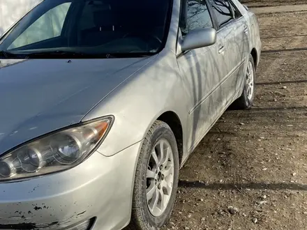 Toyota Camry 2005 года за 5 200 000 тг. в Туркестан – фото 6