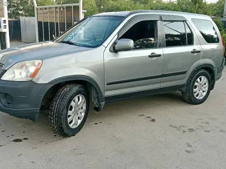 Honda CR-V 2006 года за 5 500 000 тг. в Алматы – фото 3