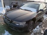 Honda Accord 1996 годаүшін100 001 тг. в Шымкент – фото 2