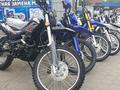  мотоцикл TEKKEN 300 R LINE PRO 2024 годаүшін1 030 000 тг. в Актобе – фото 43
