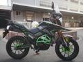  мотоцикл TEKKEN 300 R LINE PRO 2024 года за 1 030 000 тг. в Актобе – фото 9