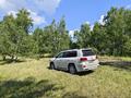 Toyota Land Cruiser 2008 года за 14 999 000 тг. в Костанай – фото 8