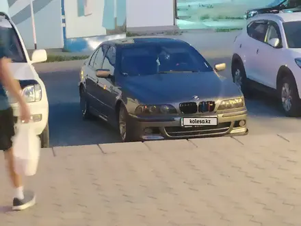 BMW 530 2001 года за 5 800 000 тг. в Шымкент – фото 40