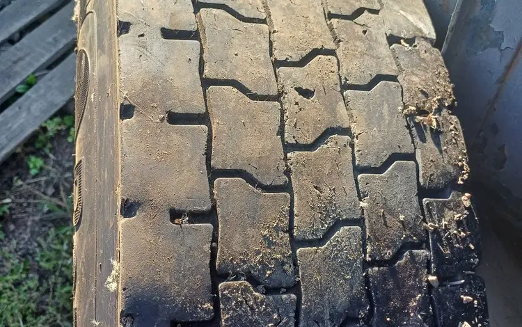 Шина за 25 000 тг. в Кокшетау