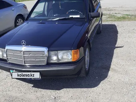 Mercedes-Benz 190 1992 годаүшін1 300 000 тг. в Талдыкорган – фото 12