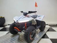 CFMoto  CFORCE EV110 2023 года за 1 600 000 тг. в Алматы