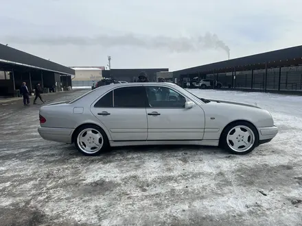 Mercedes-Benz E 55 AMG 1998 года за 5 500 000 тг. в Талдыкорган – фото 3