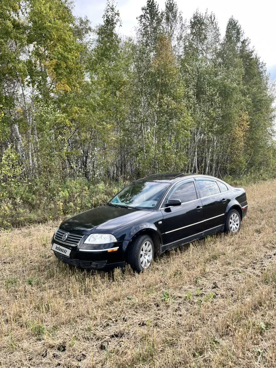 Volkswagen Passat, 2002