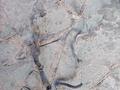 Корпус радиатора, испарителя кондиционера за 30 000 тг. в Алматы – фото 4