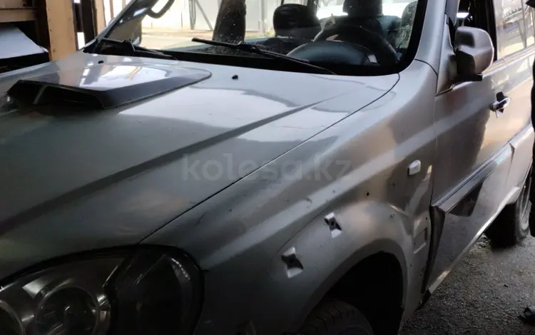 Hyundai Terracan 2002 годаүшін3 900 000 тг. в Алматы