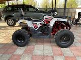 Tao Motor  250 X 2023 года за 650 000 тг. в Алматы – фото 2