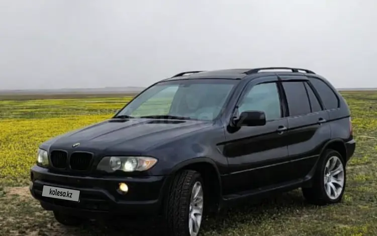 BMW X5 2003 года за 5 000 000 тг. в Алматы