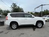 Toyota Land Cruiser Prado 2013 годаүшін15 400 000 тг. в Шымкент – фото 3