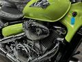 Suzuki  VOLUSIA 800 INTRUDER BATYR MOTO 2019 годаүшін4 900 000 тг. в Алматы – фото 16