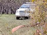 Mercedes-Benz ML 320 1998 годаүшін3 500 000 тг. в Алматы – фото 5