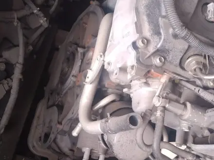 Двигатель VQ40 4.0, YD25 2.5 за 1 200 000 тг. в Алматы – фото 21