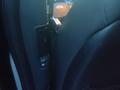 Kia Sorento 2012 годаүшін8 000 000 тг. в Астана – фото 14