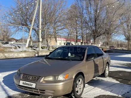 Toyota Camry 1998 года за 3 200 000 тг. в Шымкент