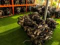 Купить контрактный двигатель Nissan SR20, VQ23, VQ25, MR20, HR15, CG10, K24 за 135 000 тг. в Алматы – фото 19