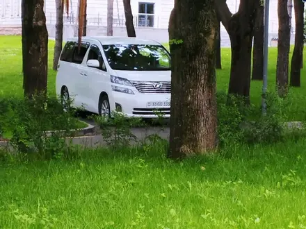 Toyota Vellfire 2010 года за 7 400 000 тг. в Алматы