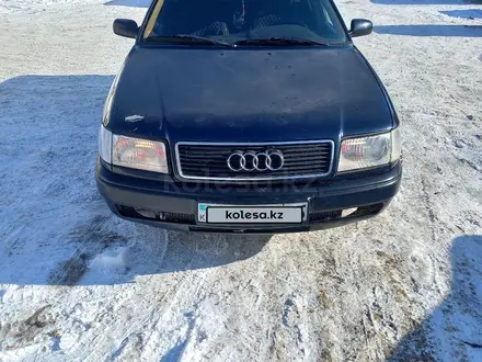 Audi 100 1994 года за 2 100 000 тг. в Талдыкорган – фото 12