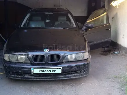 BMW 523 1999 года за 3 000 000 тг. в Урджар – фото 3