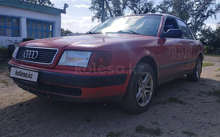 Audi 100 1991 годаүшін1 499 999 тг. в Сергеевка