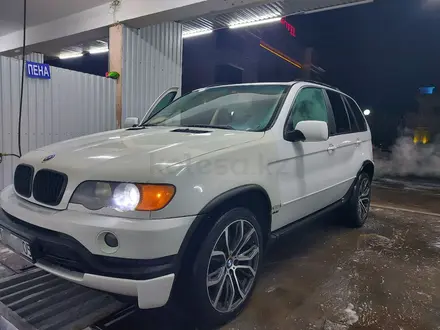 BMW X5 2001 года за 4 200 000 тг. в Алматы – фото 2