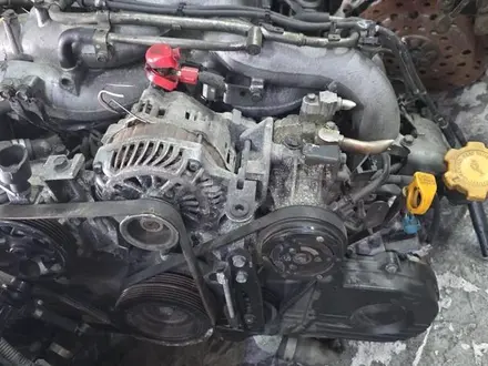 СУБАРУ Б4 БЛ5 EJ251 EJ253 СТАРТЕР + ГЕНЕРАТОР + ГУР НАСОС + КОМПРЕССОР за 15 000 тг. в Алматы – фото 3