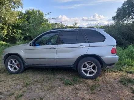 BMW X5 2001 года за 5 000 000 тг. в Усть-Каменогорск – фото 4