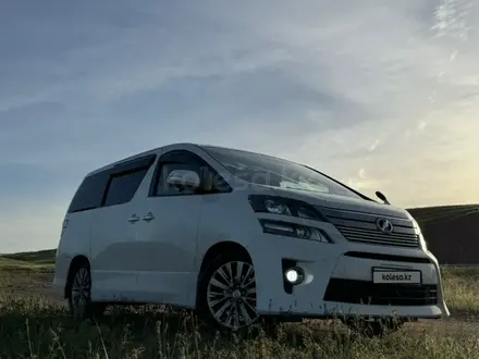 Toyota Vellfire 2012 года за 8 500 000 тг. в Кентау – фото 7