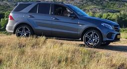Mercedes-Benz GLE 43 AMG 2018 года за 22 000 000 тг. в Усть-Каменогорск