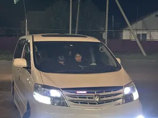 Toyota Alphard, 2007