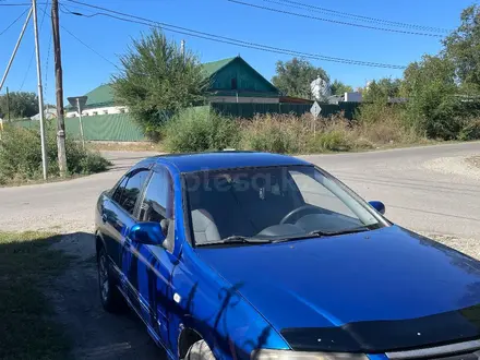 Nissan Almera 2006 года за 3 200 000 тг. в Талдыкорган – фото 4