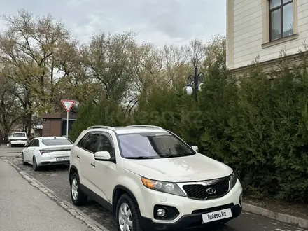 Kia Sorento 2010 года за 8 300 000 тг. в Алматы – фото 7