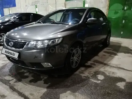 Kia Cerato 2011 года за 4 200 000 тг. в Усть-Каменогорск – фото 3