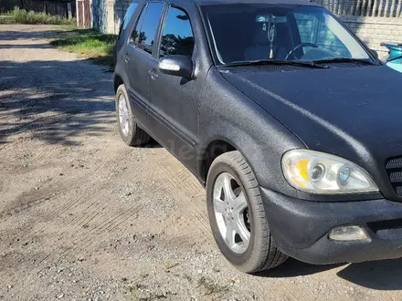 Mercedes-Benz ML 350 2003 года за 4 900 000 тг. в Семей – фото 2