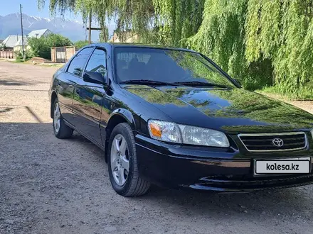 Toyota Camry 2000 года за 4 000 000 тг. в Тараз – фото 5