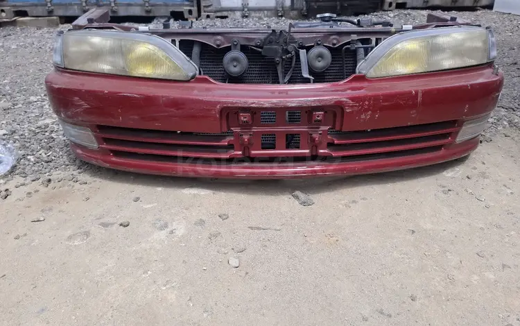 Ноускат за 300 000 тг. в Алматы