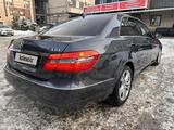 Mercedes-Benz E 200 2009 годаүшін7 700 000 тг. в Алматы – фото 4