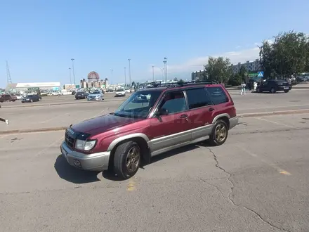 Subaru Forester 1998 года за 2 900 000 тг. в Алматы – фото 3