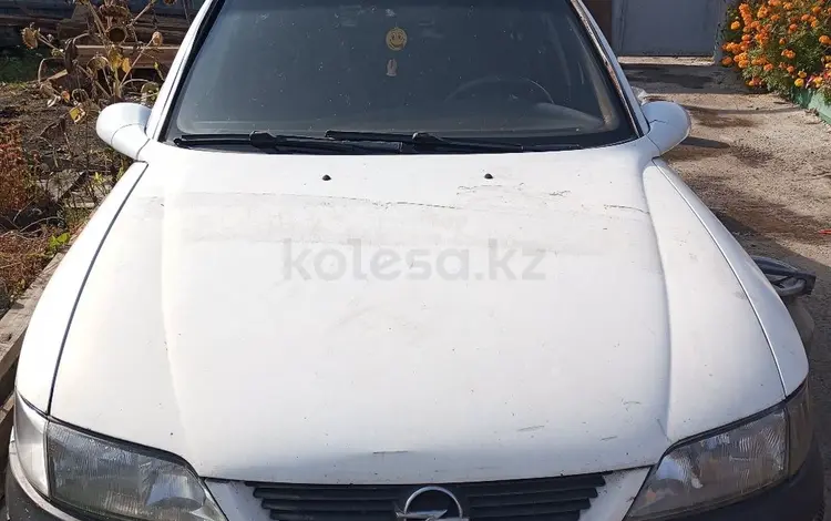 Opel Vectra 1998 годаүшін600 000 тг. в Петропавловск