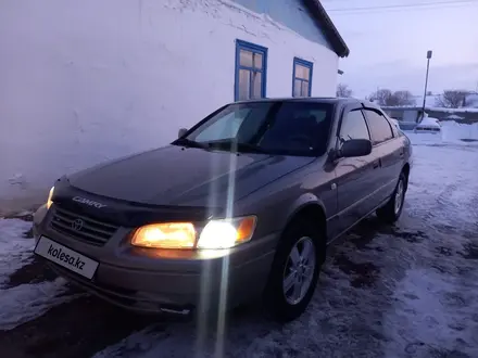 Toyota Camry 1999 года за 2 700 000 тг. в Аягоз