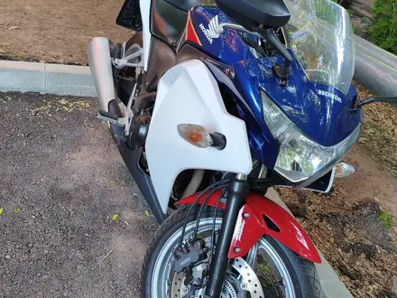 Honda  CBR 250R 2011 года за 1 600 000 тг. в Астана – фото 3